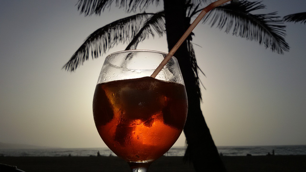 spritz sunset palm tree free photo