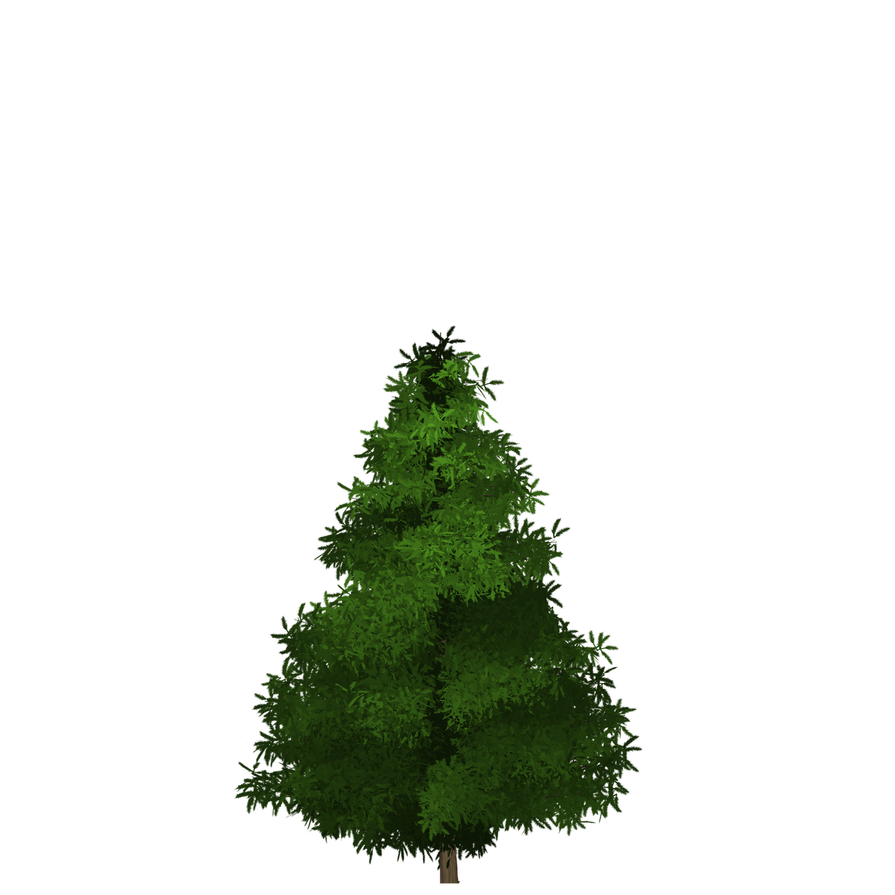 spruce tree painted tree free photo