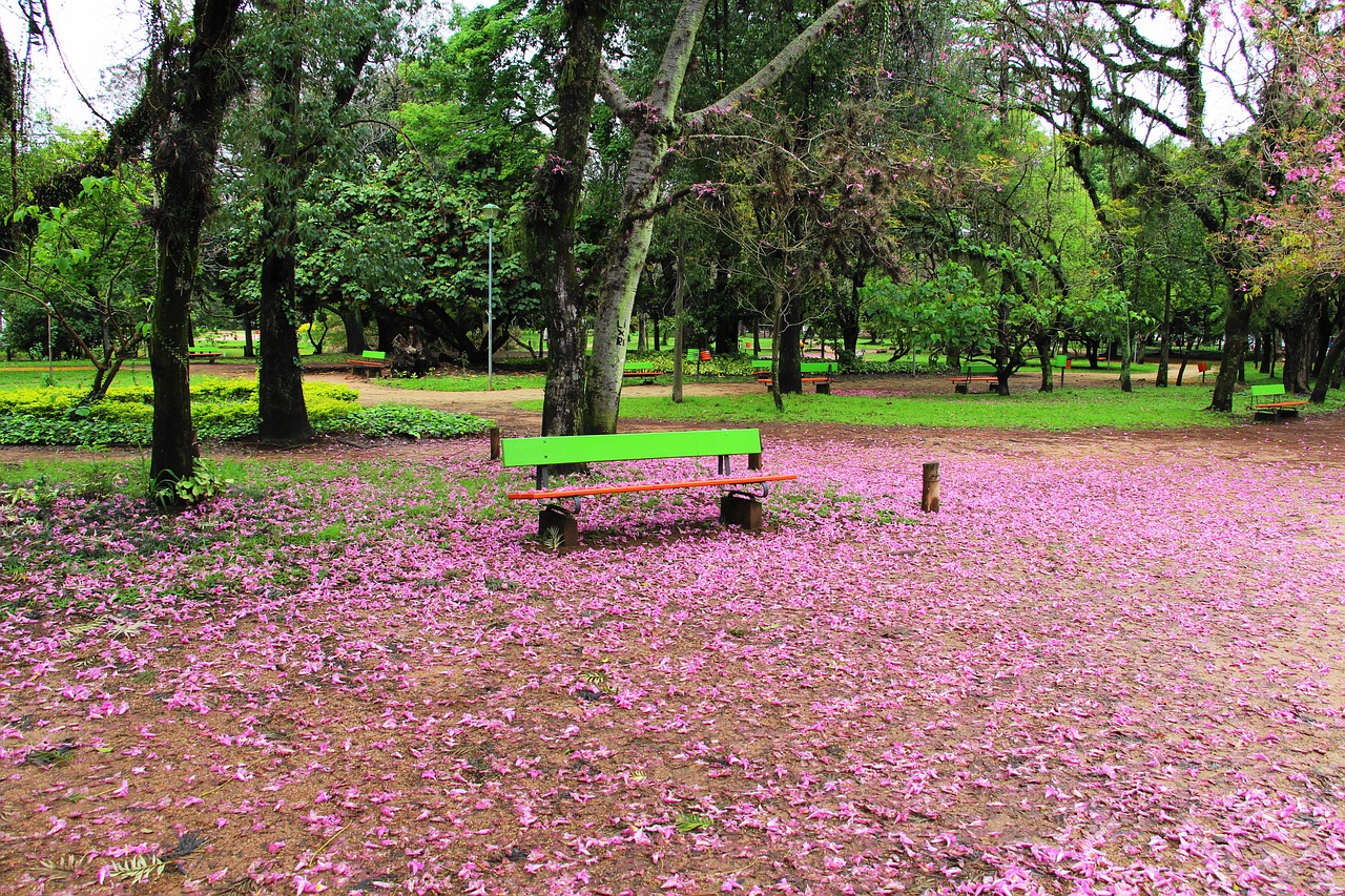 square porto alegre brazil free photo