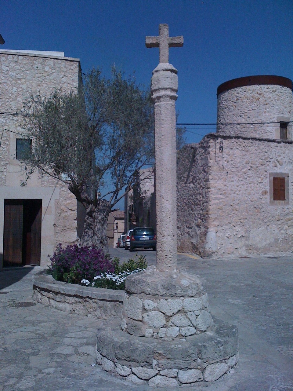 square column tree home free photo