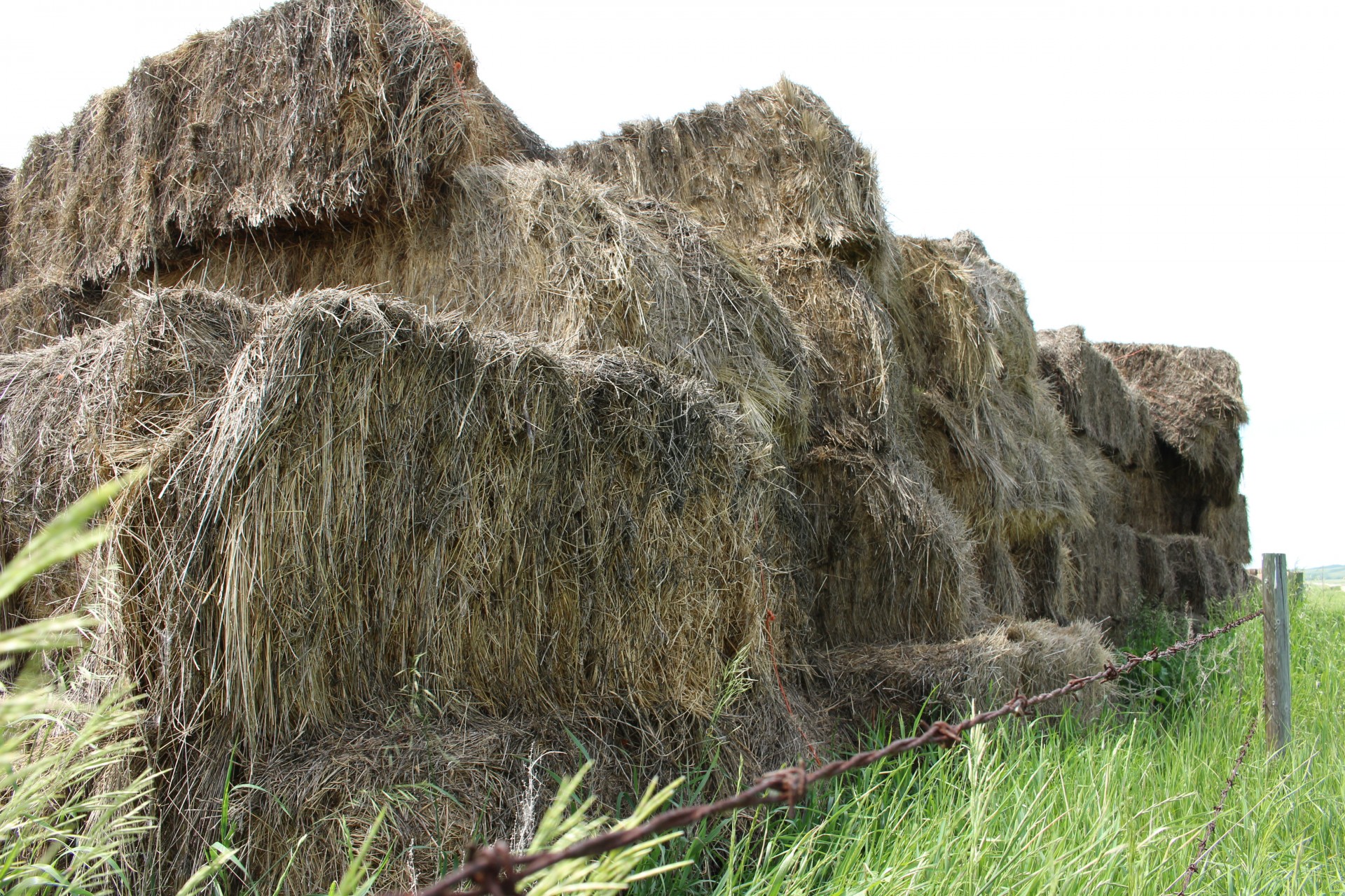 square hay bales free photo