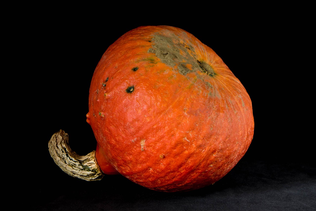 squash orange vegetables free photo