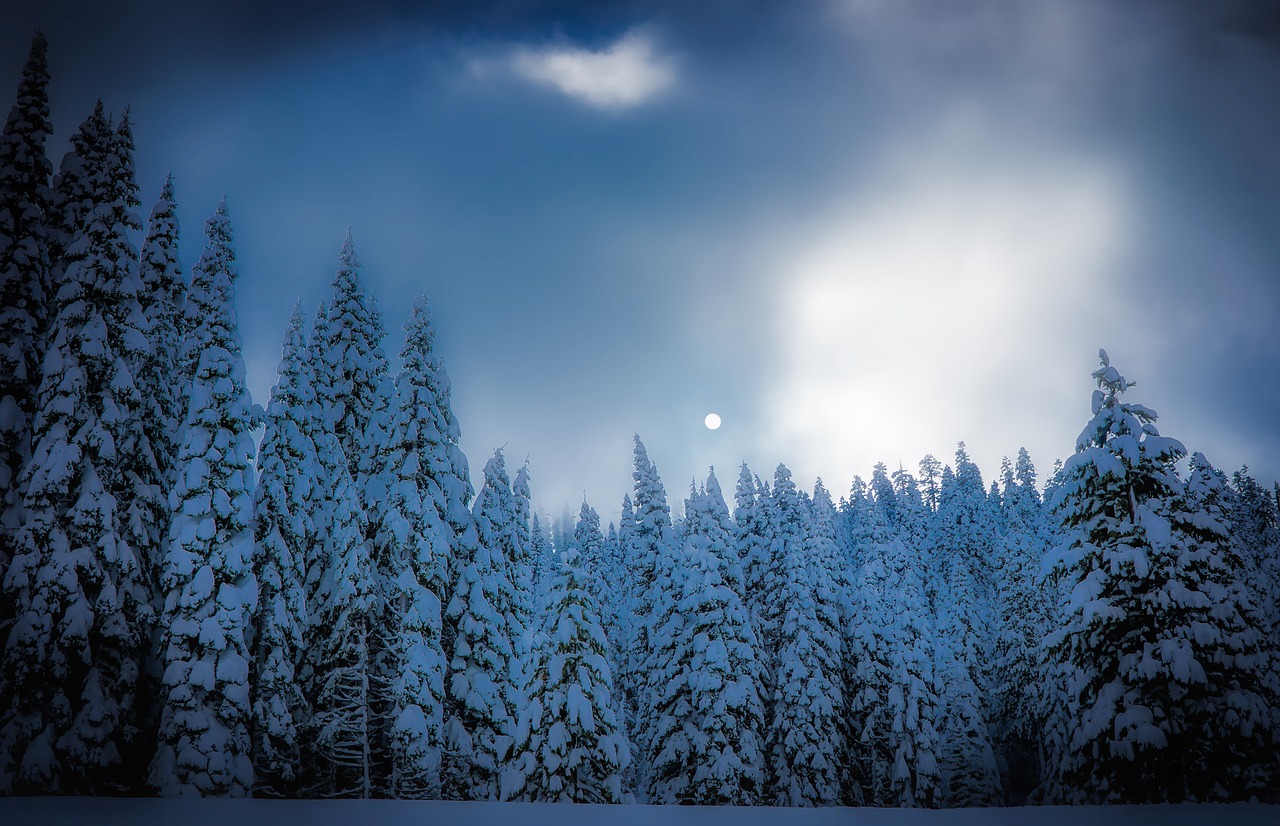 squaw valley california snow free photo