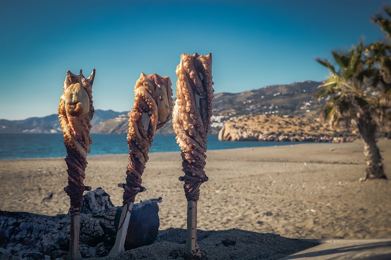 squid  barbecue  sea free photo