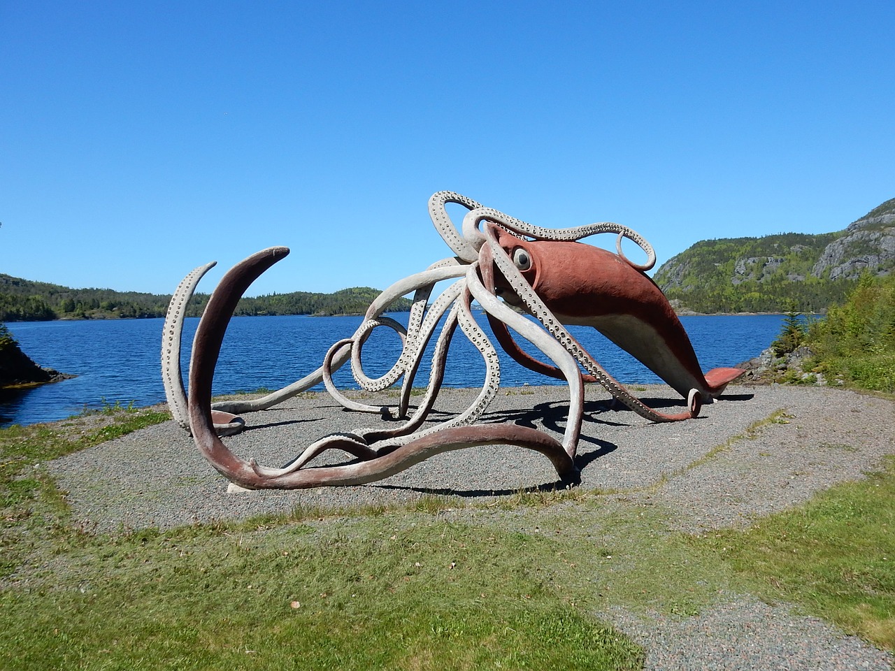squid sculpture statue giant squid free photo