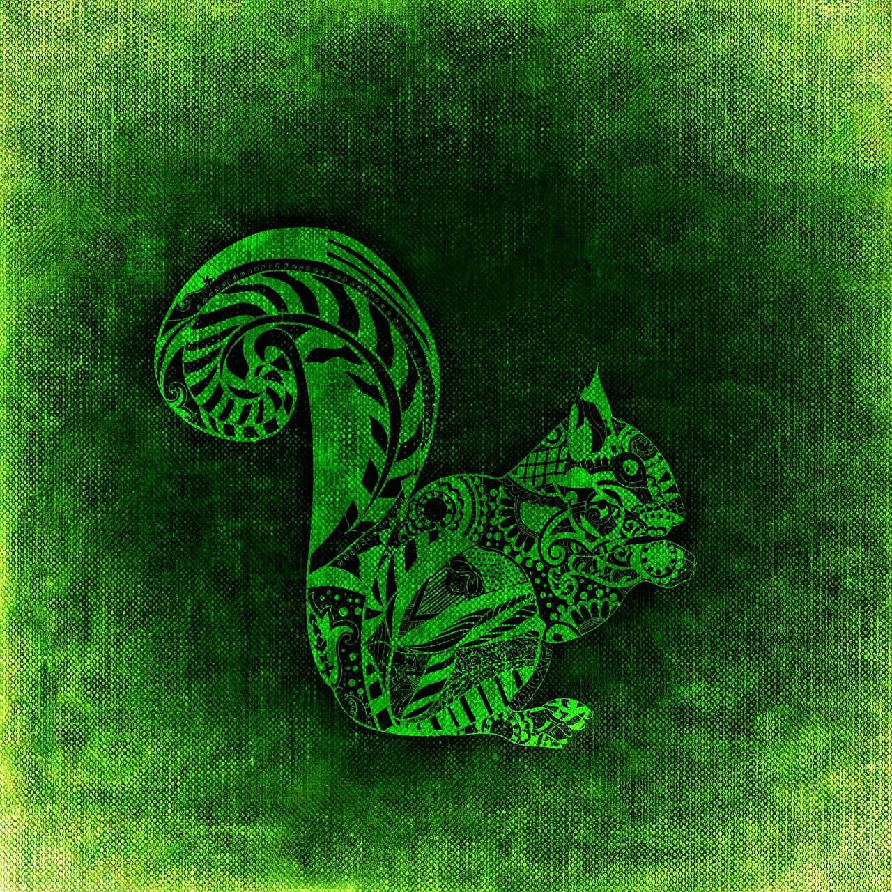 squirrel green abstract free photo