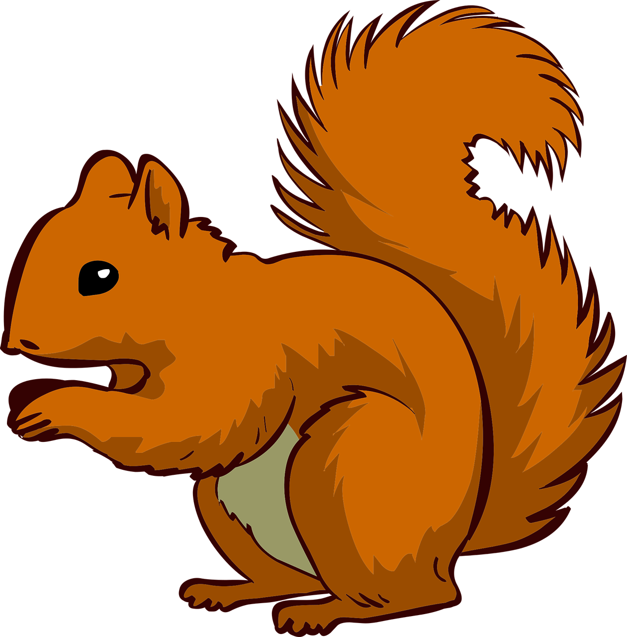 squirrel animal pet free photo