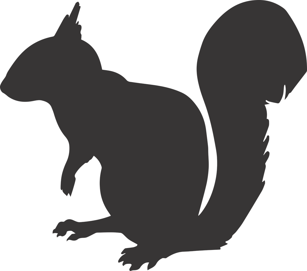 squirrel silhouette animal free photo