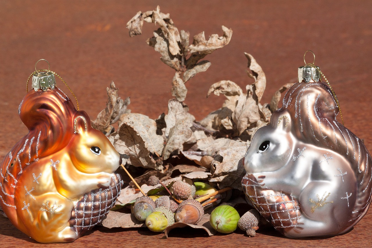 squirrel christmas decorations acorns free photo