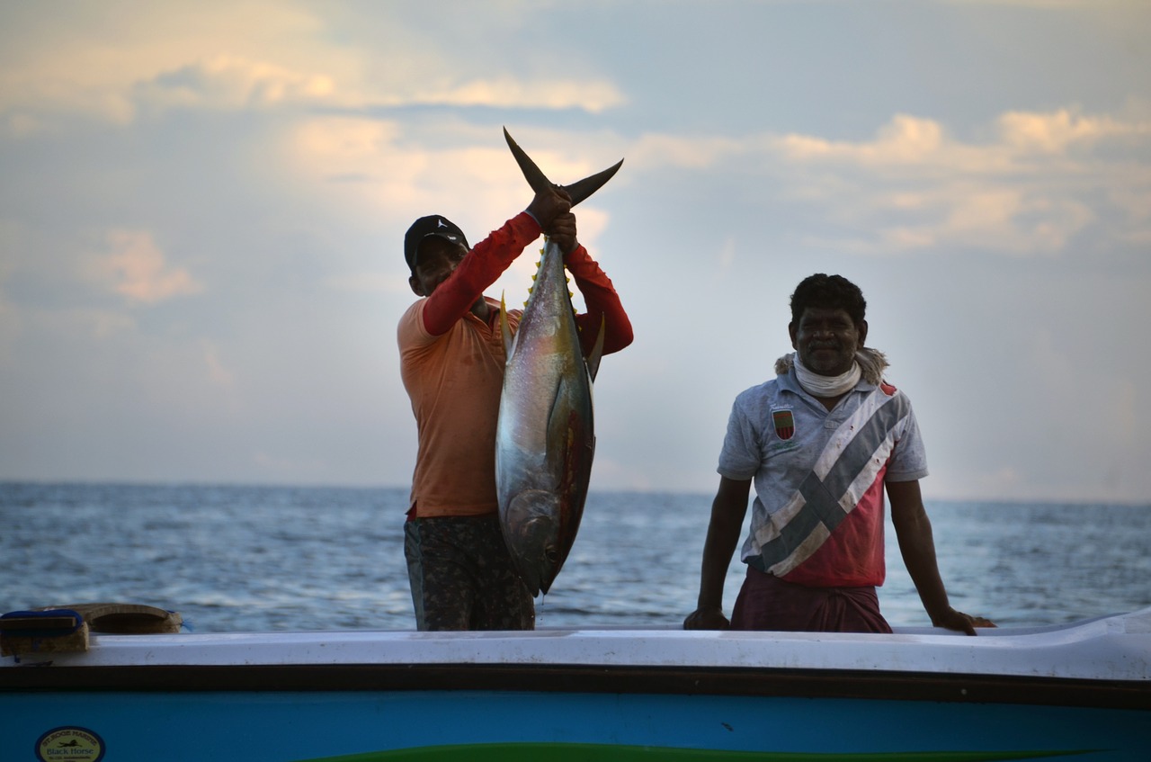 sri lanka fischer fishing free photo