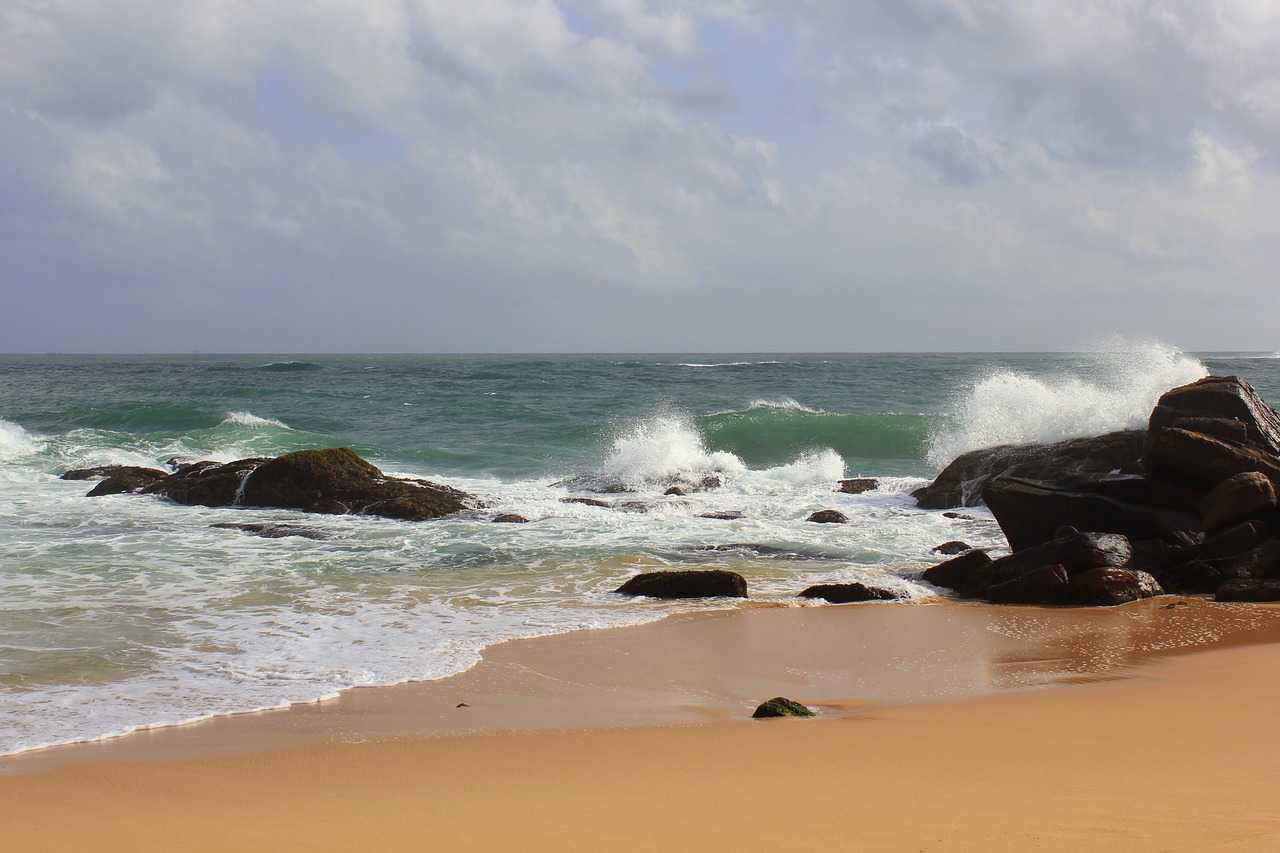 sri lanka beach ocean free photo