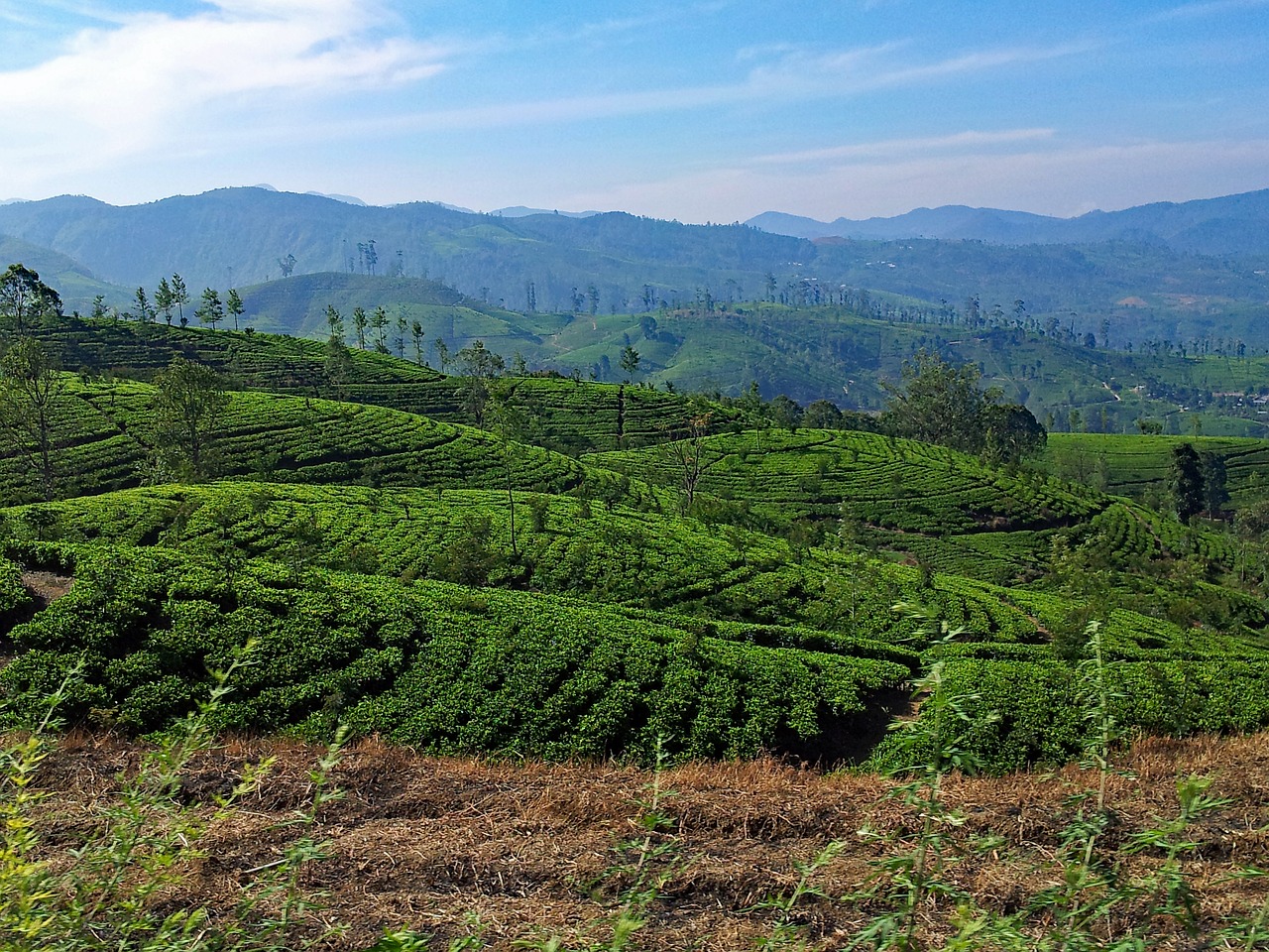 sri lanka mountains highlands free photo