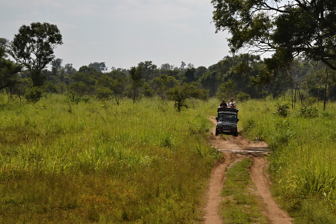 sri lanka safari jeep free photo