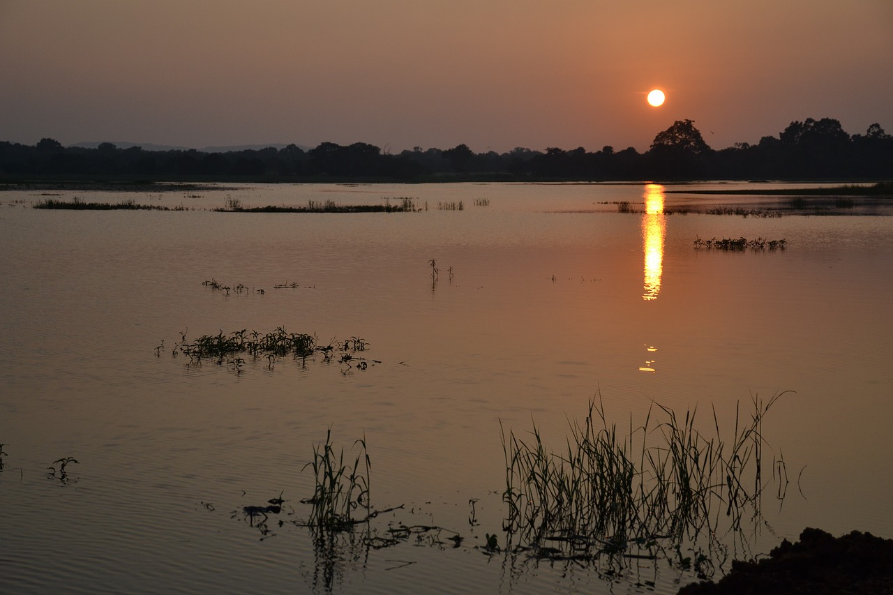 sri lanka sunset lake free photo