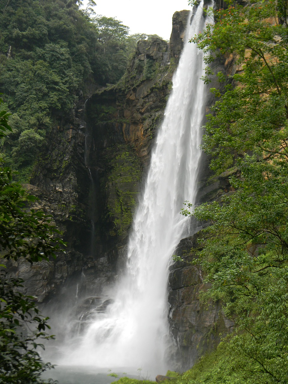 sri lanka waterfall laxapana free photo