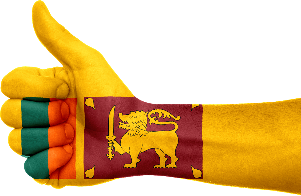 sri lanka flag hand free photo