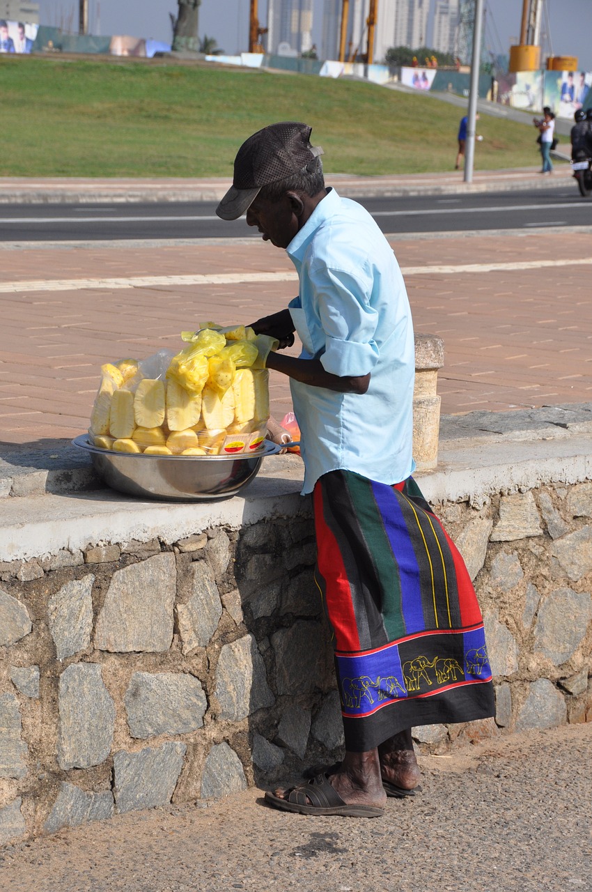 srilanka travel pineapple seller free photo