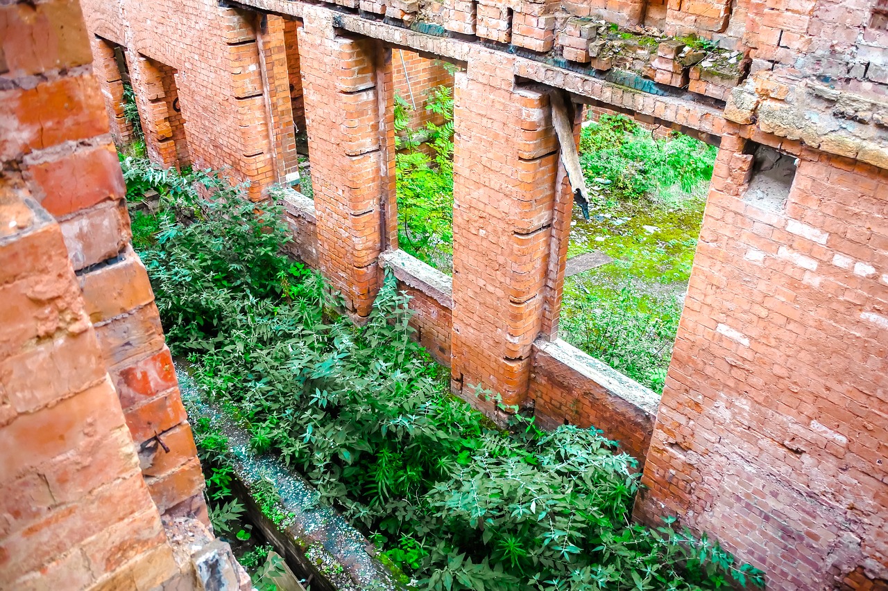 st crispins asylum hospital free photo