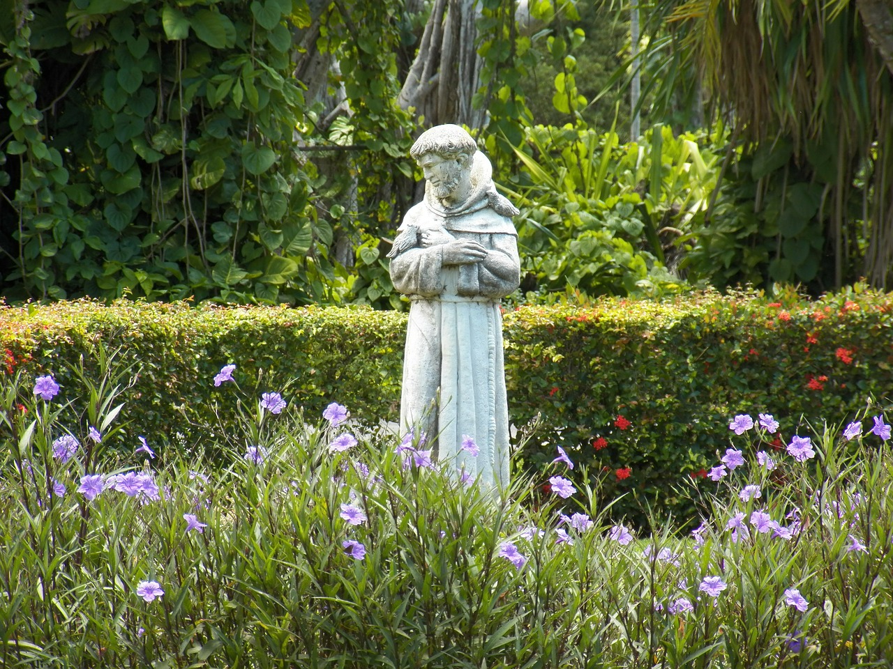st francis st francis statue religious free photo