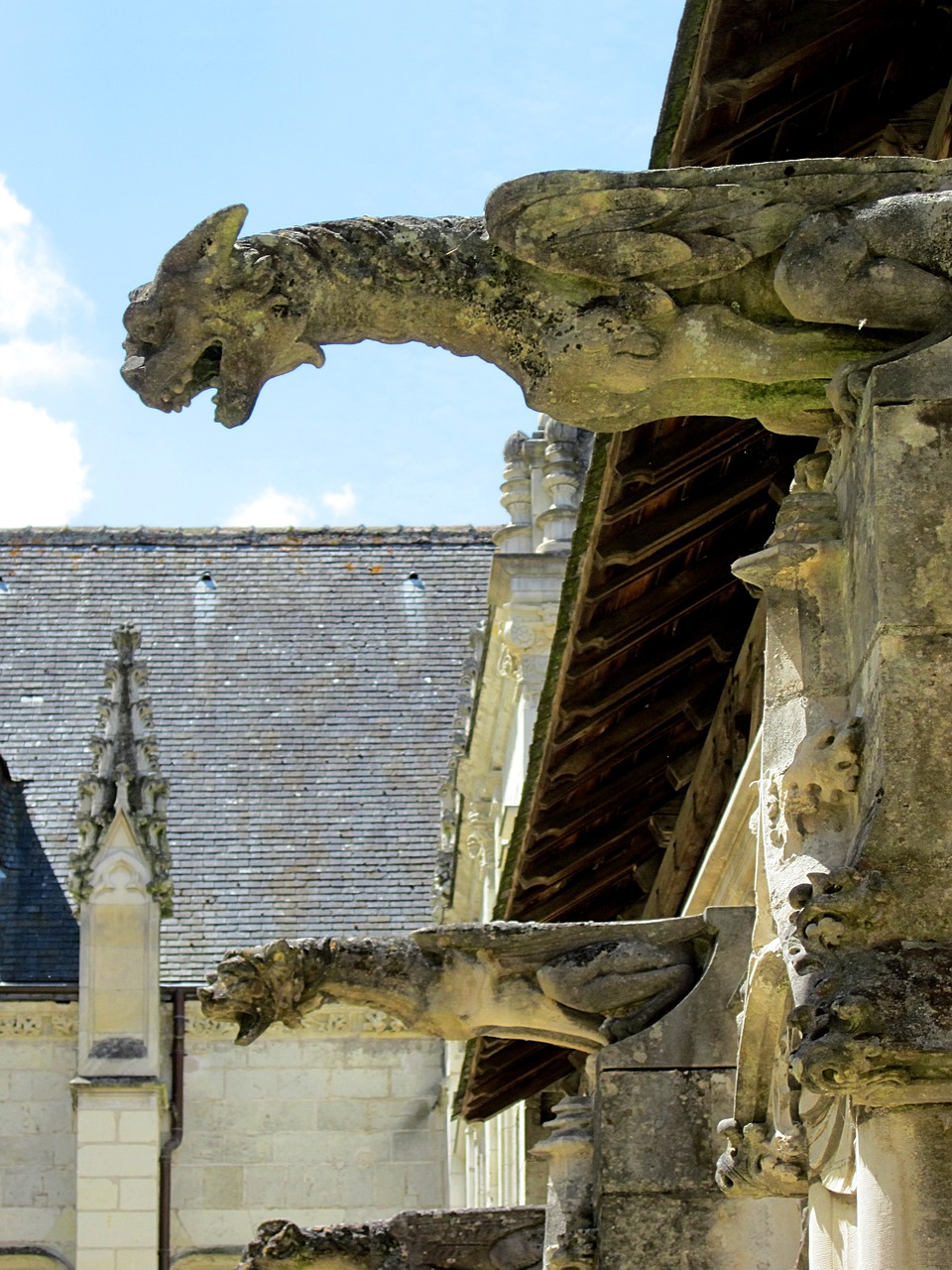 st gatien cathedral gargoyle cloister free photo