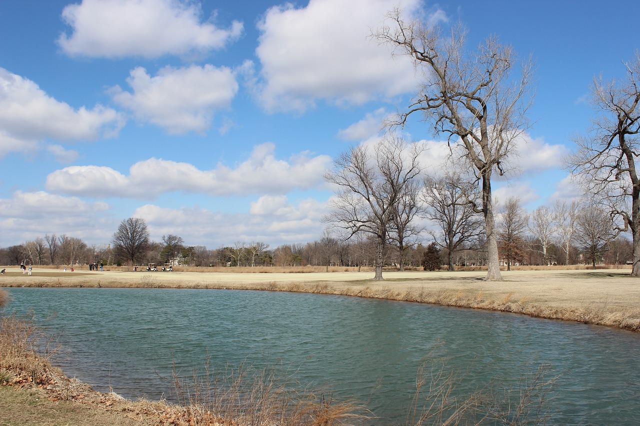 st louis forest park pond free photo