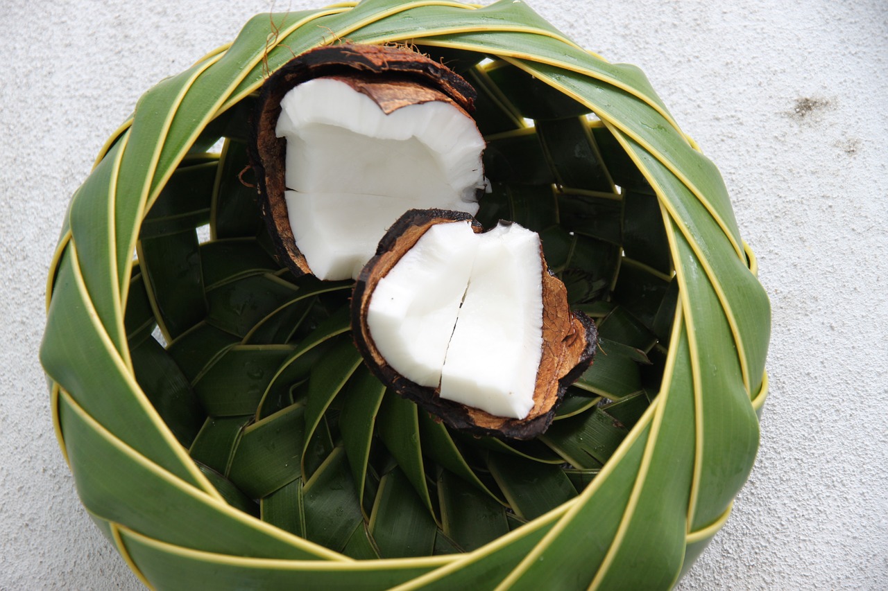 st lucia coconut basket free photo