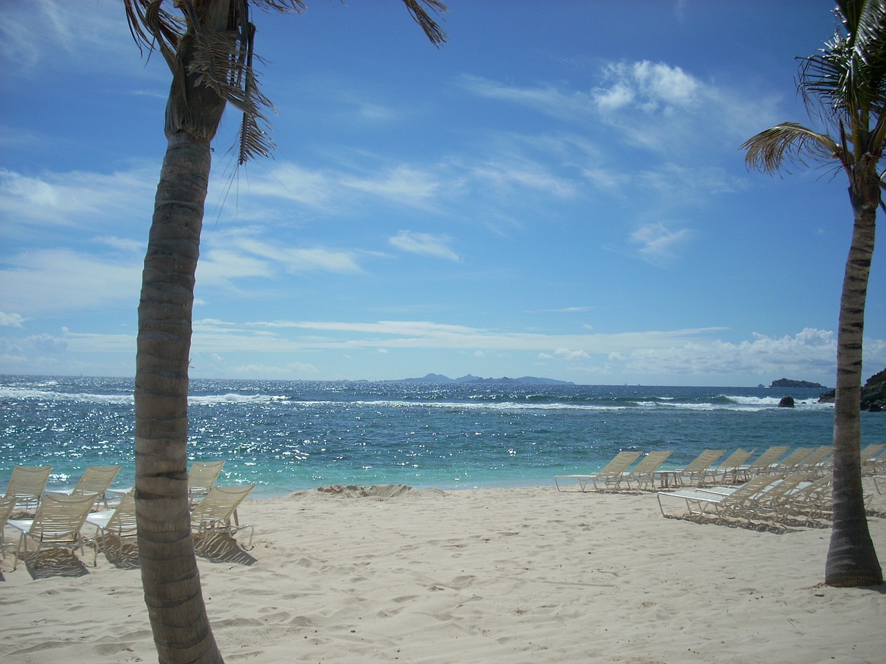 st maarten beach palm trees free photo