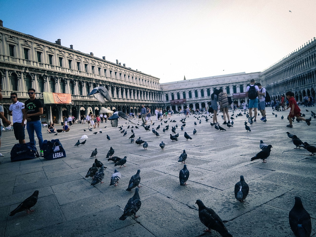 st markâ s square piazza san marco venice free photo