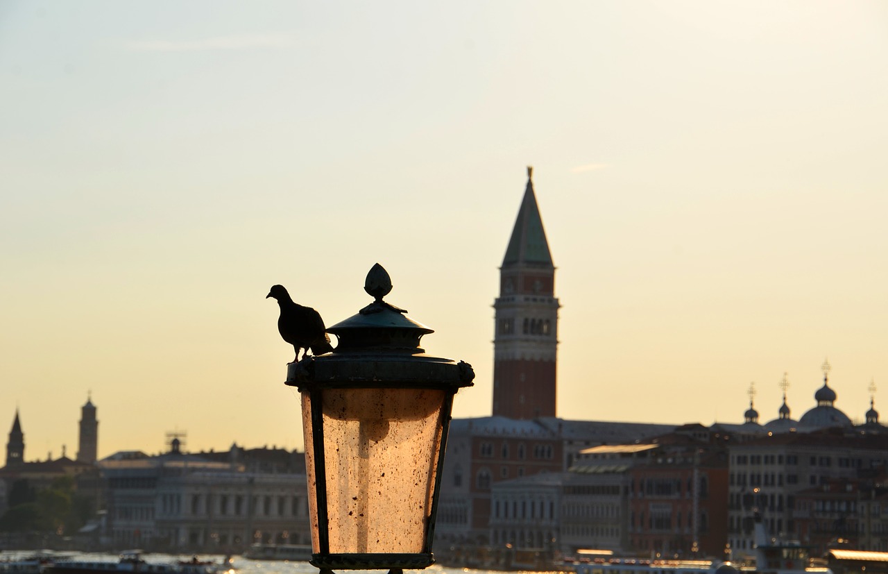 st mark's basilica venice dove free photo