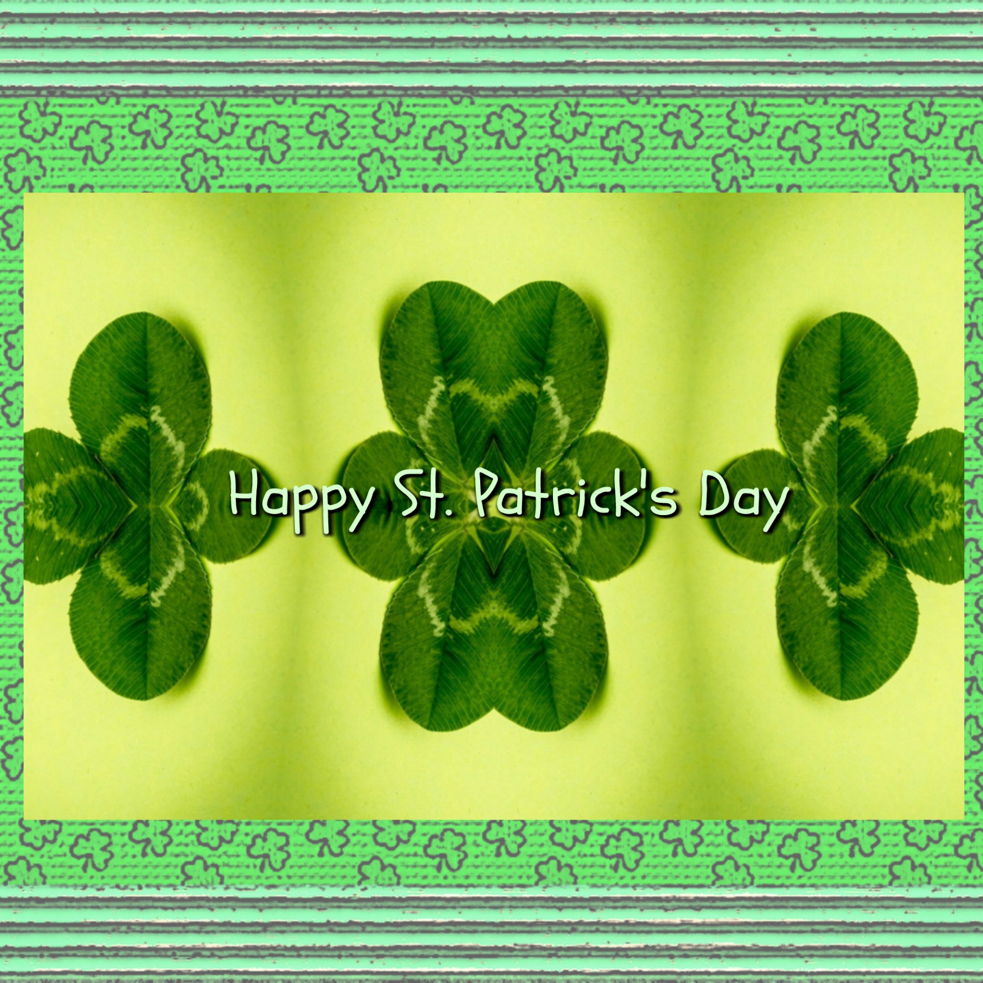 four leaf clover clover green free photo