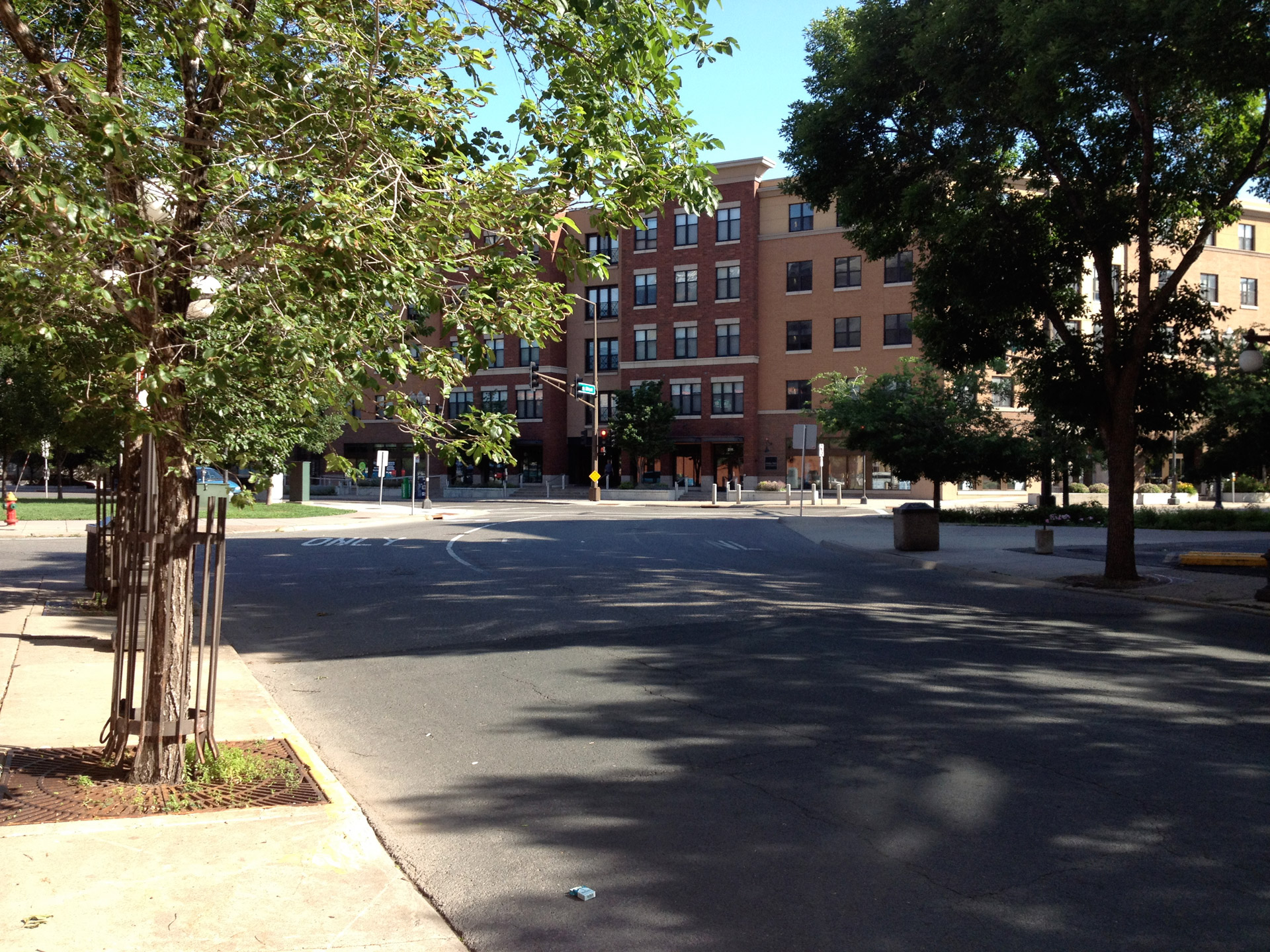 st. paul street scene tree-lined free photo