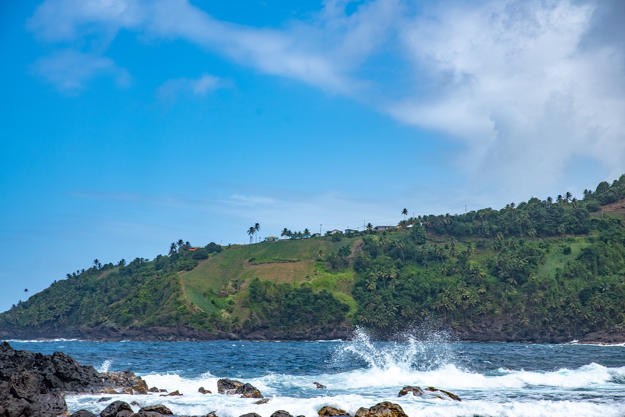 st vincent and the grenadines  surf  rough sea free photo