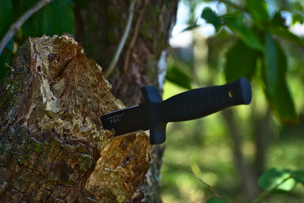 stab knife  tree  wood free photo