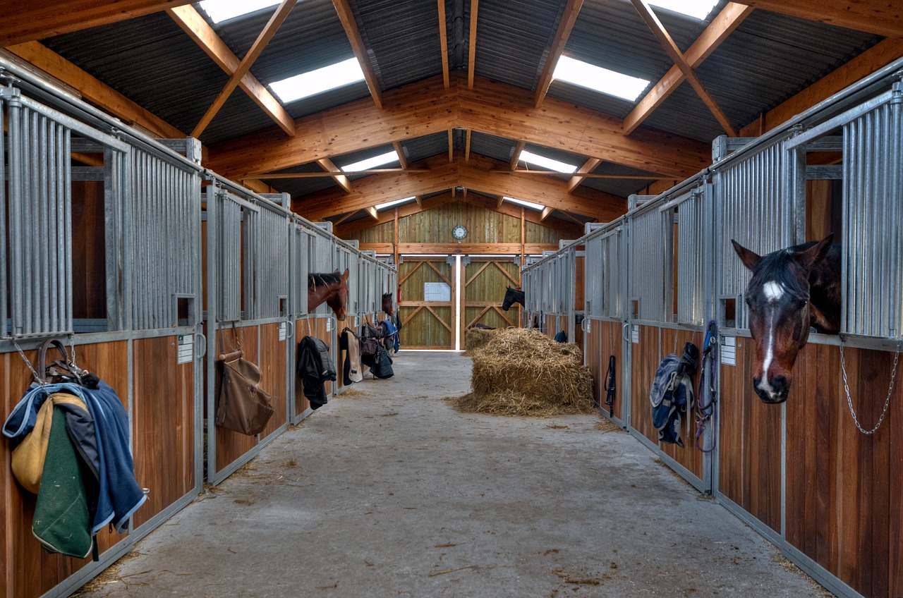 stable horse interior free photo