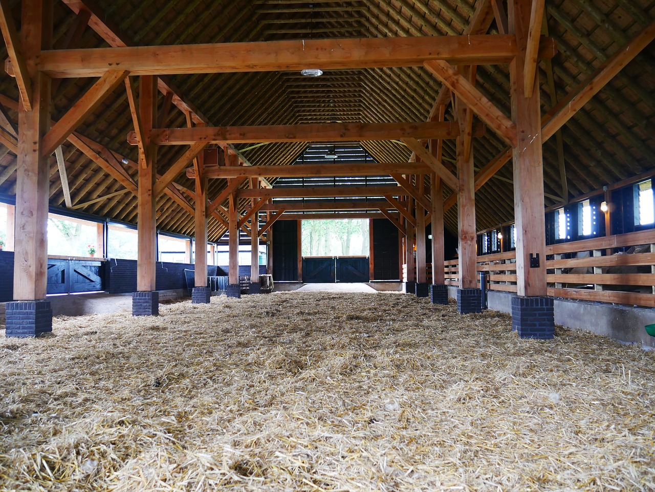 stable sheepfold barn free photo