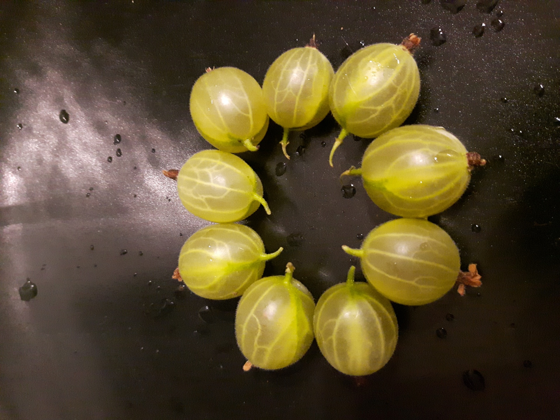 gooseberry gooseberries circular free photo