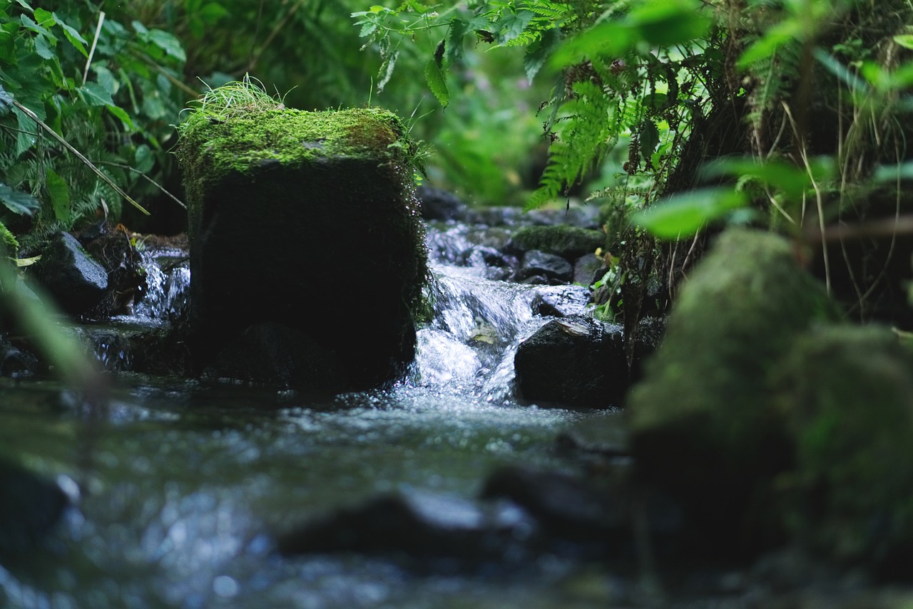 stack  river  water free photo