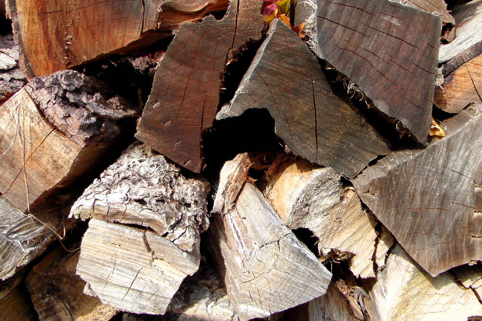 wood chopped wood amish free photo