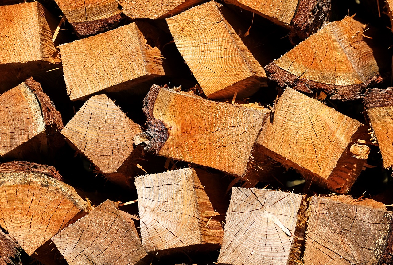 stack of wood winter heat free photo