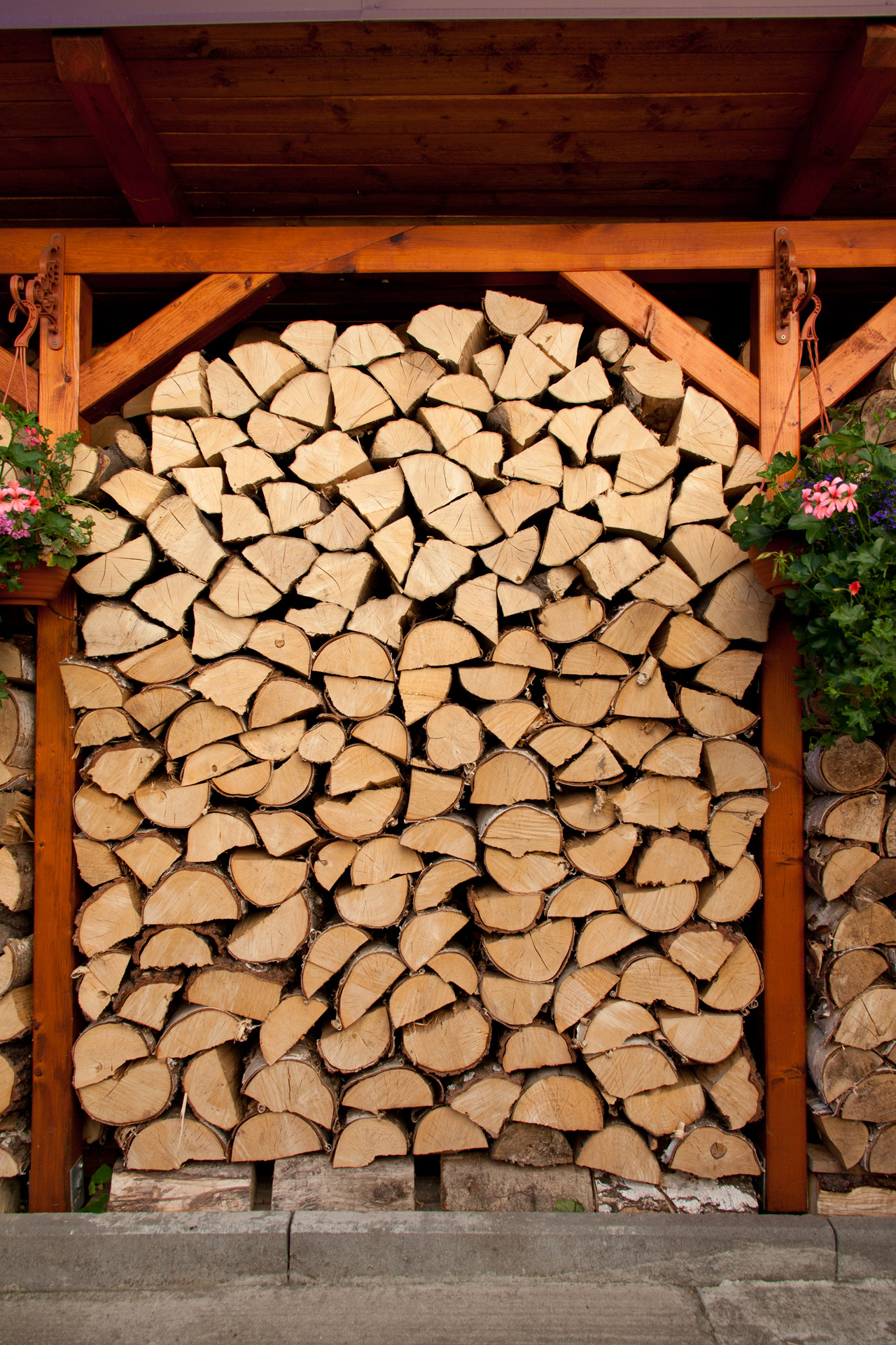 cut energy firewood free photo