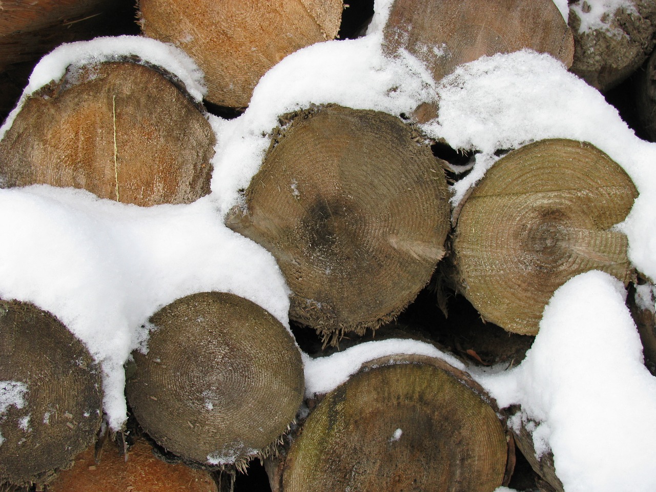 stacked blocks wood free photo