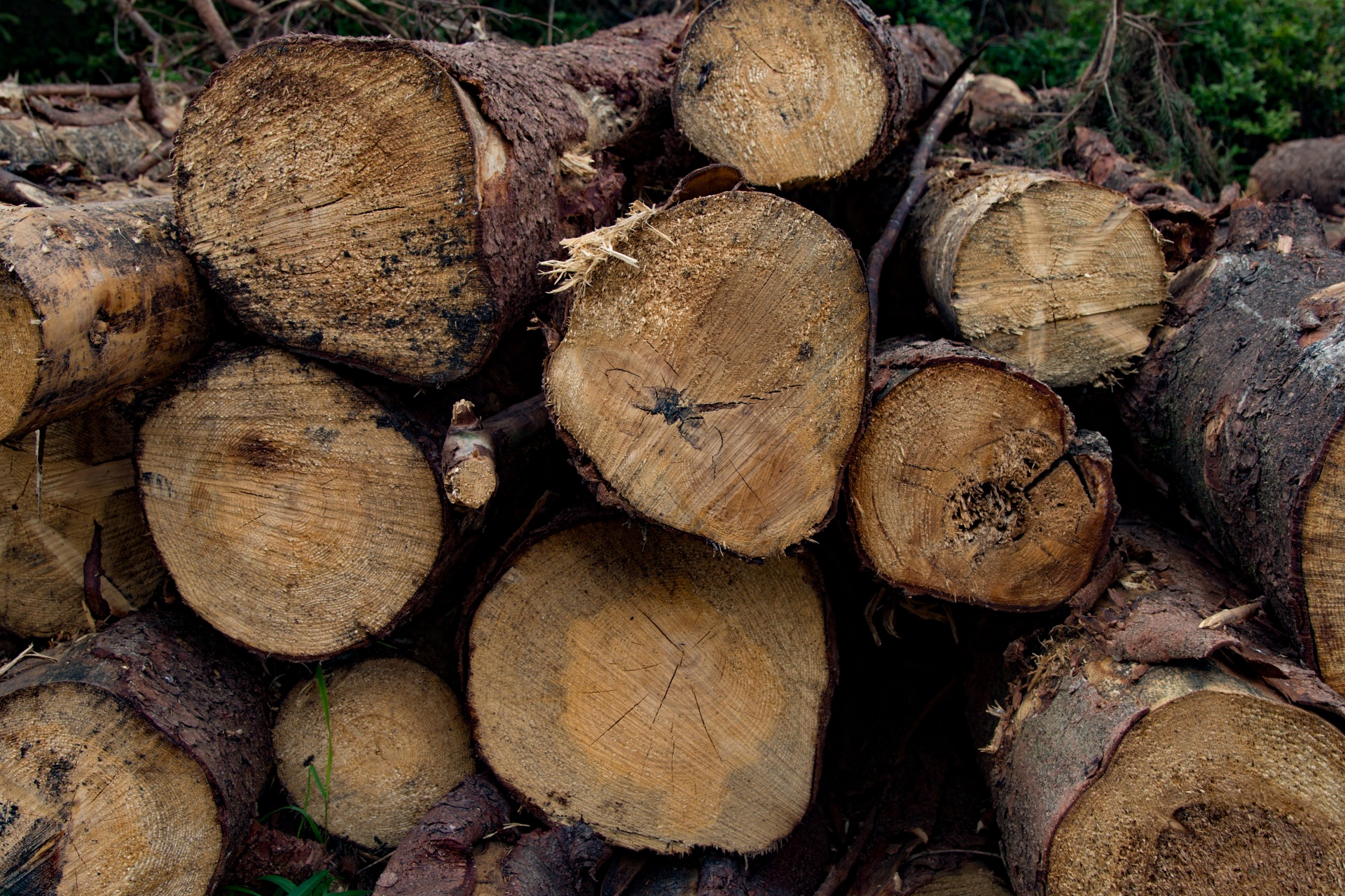 stacked wood stack free photo