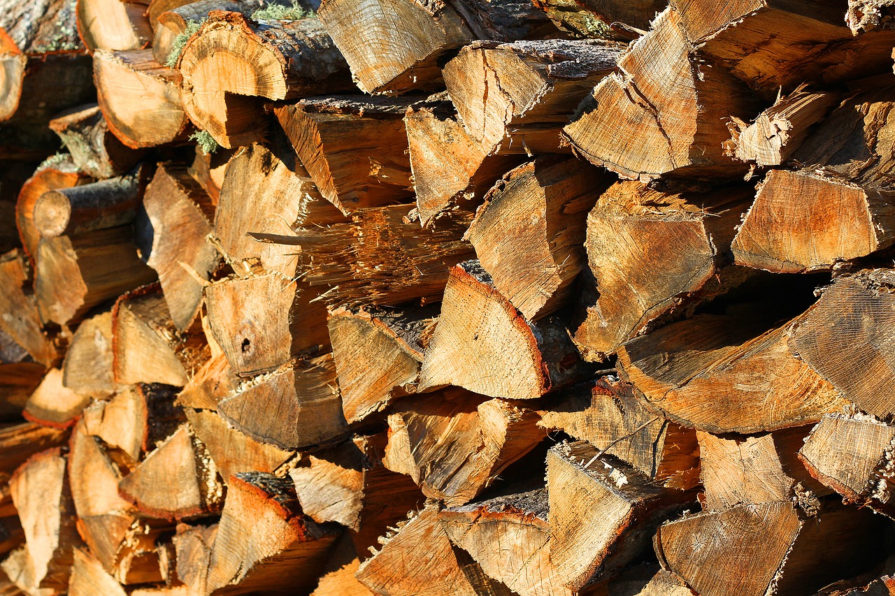 stacked wood cord wood woodpile free photo