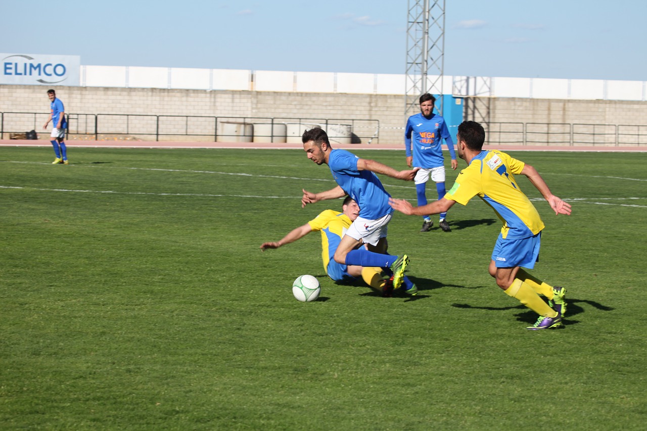 stadium football sports free photo