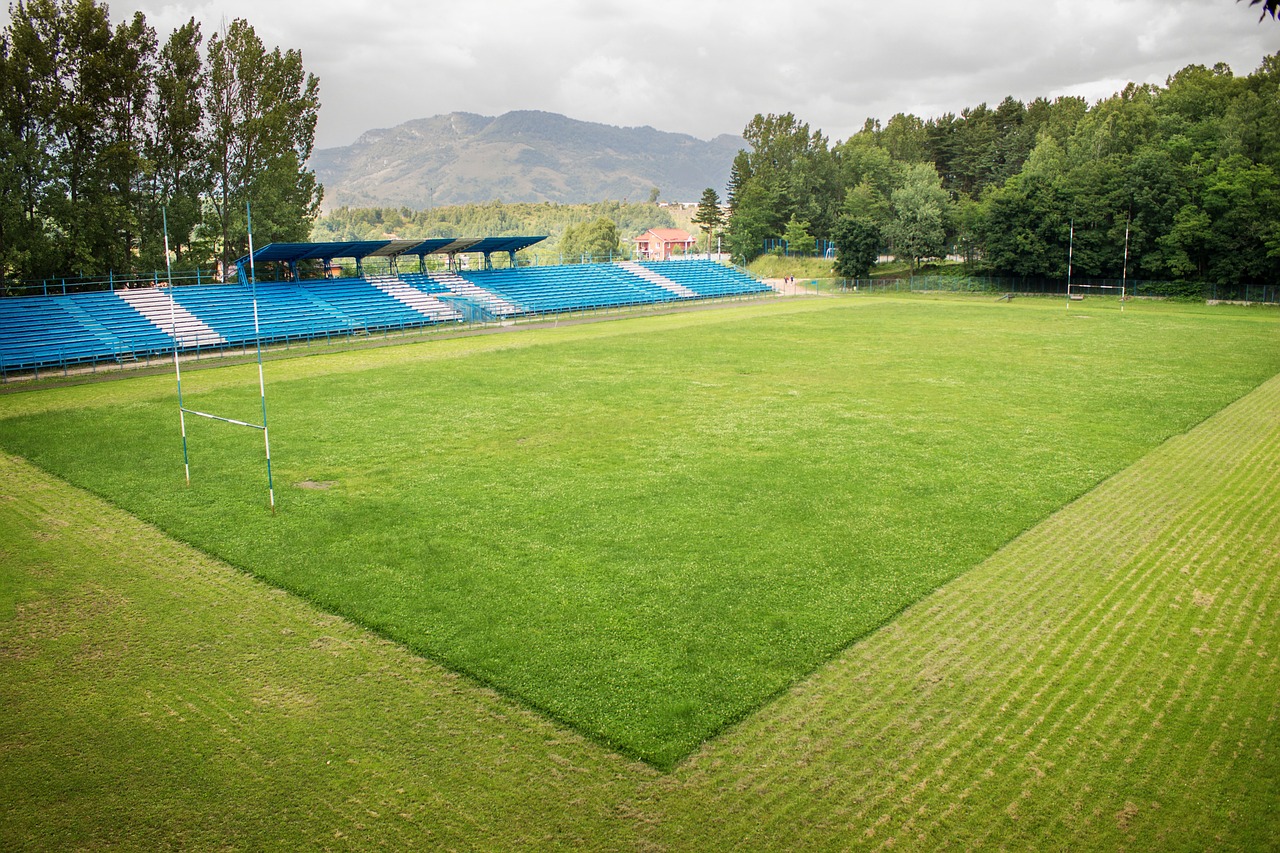 stadium rugby sport field free photo