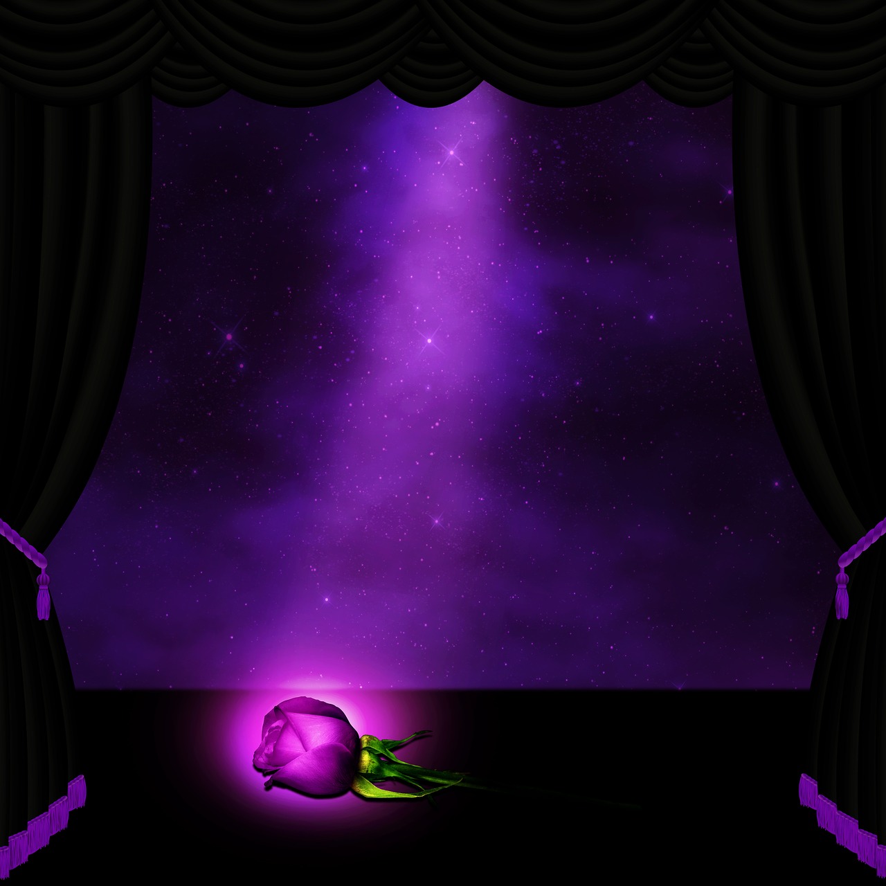 stage  curtain  rose free photo