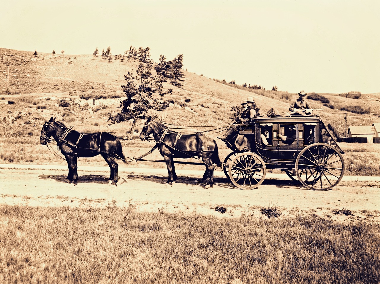 stagecoach horse cart western free photo