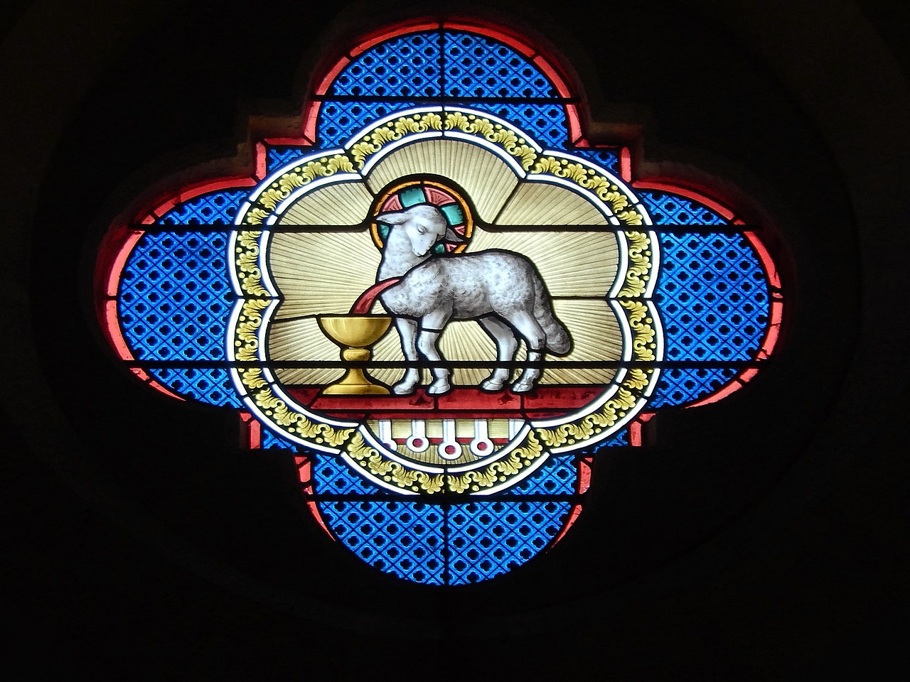 stained glass church lamb free photo