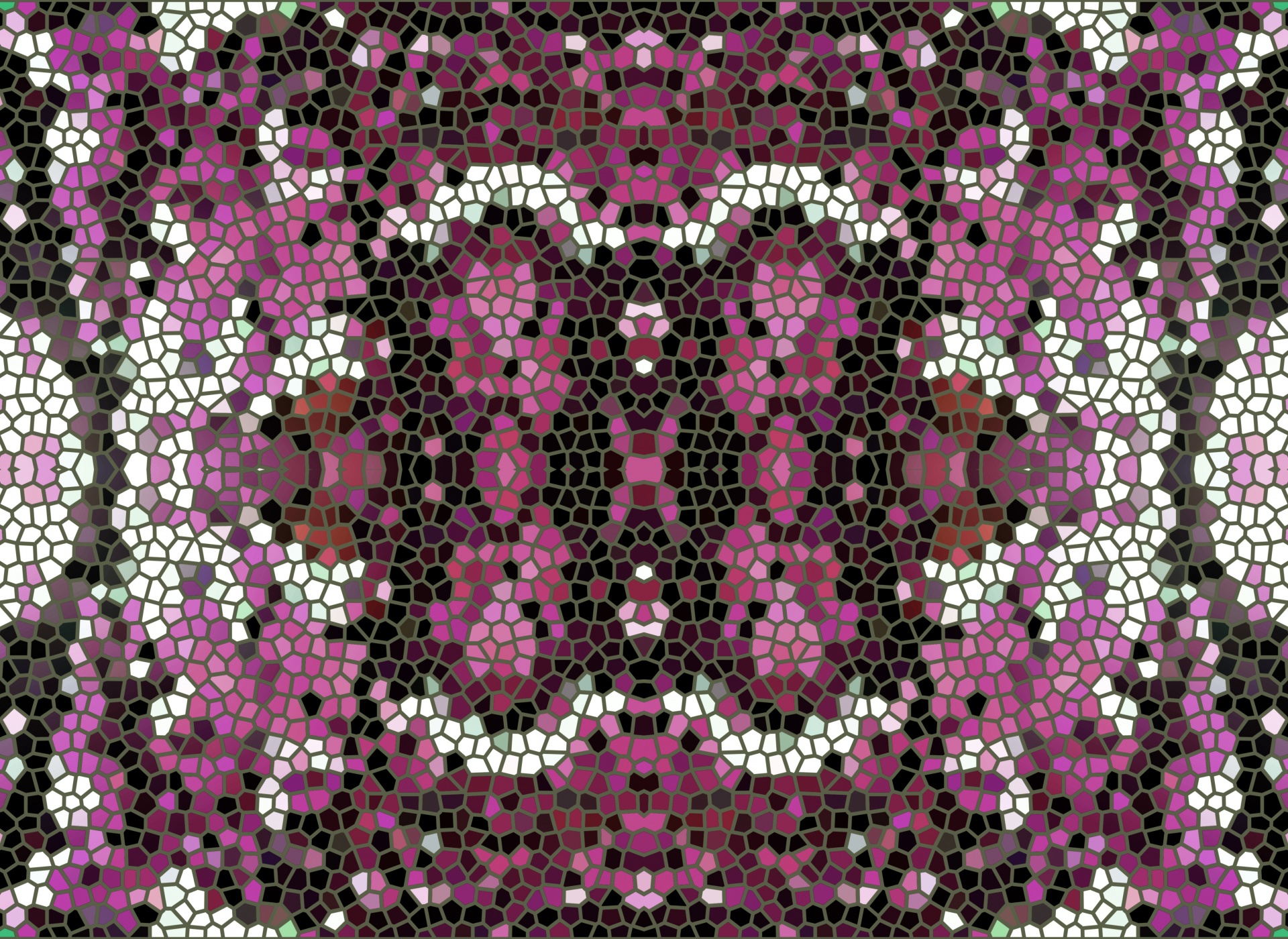 pattern pink black free photo