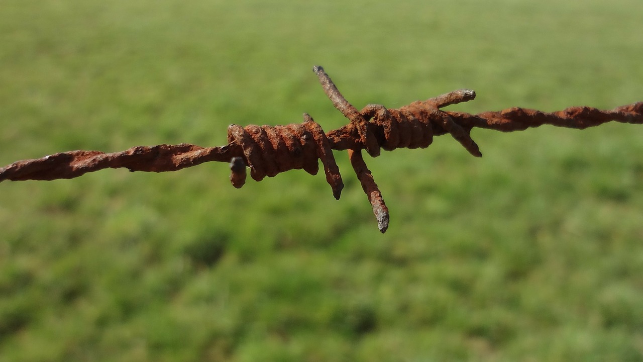 stainless fence barbed wire free photo